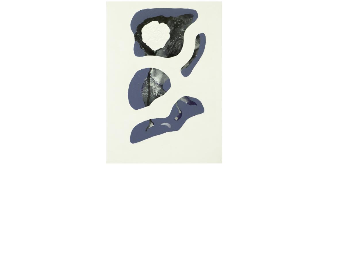 14. Ossa di dinosauro - cm 50 x 70 - tecnica mista su tela 2014 -