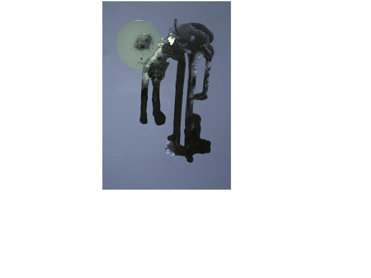 15. La luna e l'animale - cm 50 x 70 - tecnica mista su tela 2014 -