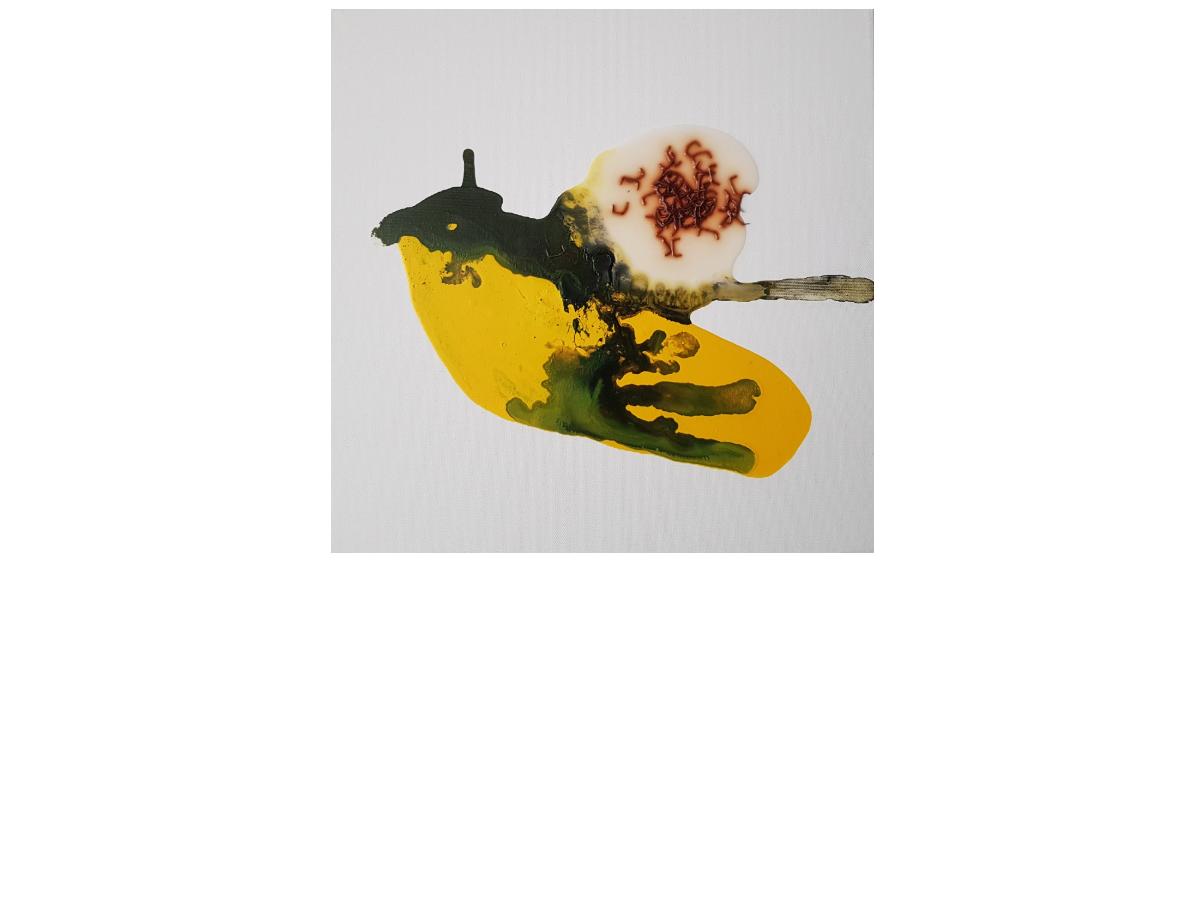 16. Organismo in mutazione, cm 40x40 tecnica mista su tela, 2018