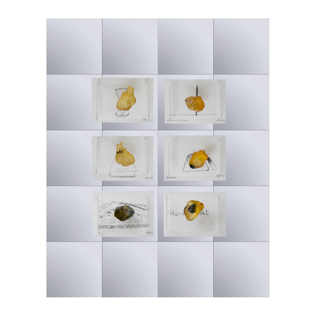 Anatomia dello spirito, cuori del mondo. Installazione cuori in resina, 150x120 cm, 2013